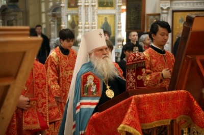 ���������. � ���� ����������